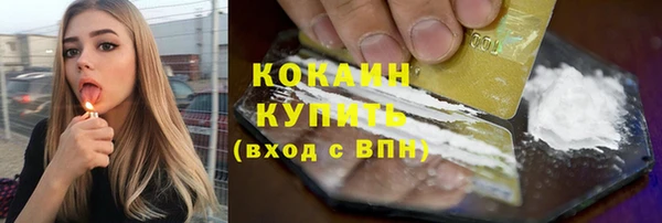 соль ск Абаза