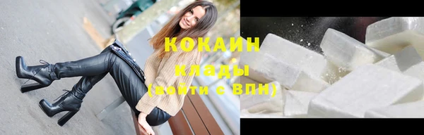 дживик Абинск