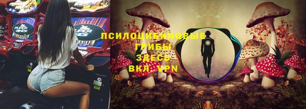 бошки Алексеевка